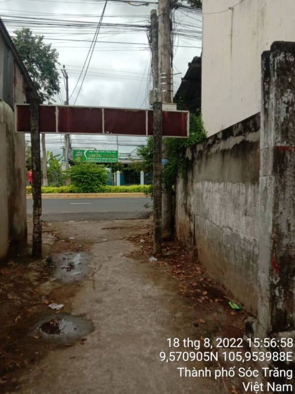 ST137	Hẻm 344 (P10) - Ảnh 3