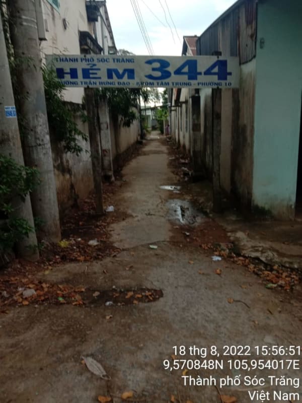 ST137	Hẻm 344 (P10) - Ảnh 4