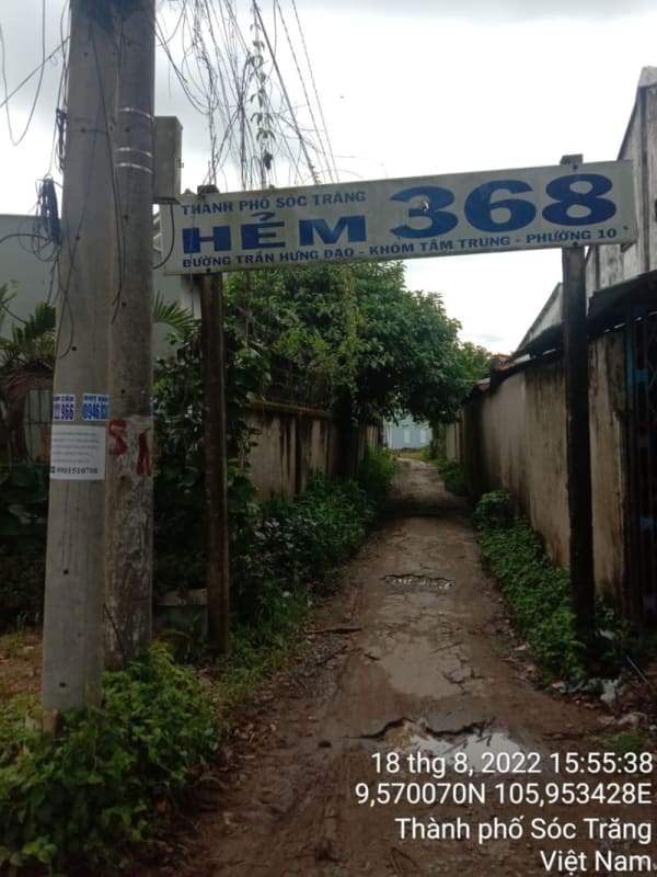 ST138	Hẻm 368 (P10) - Ảnh 2
