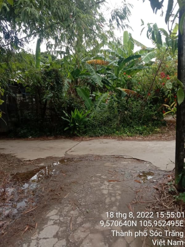 ST138	Hẻm 368 (P10) - Ảnh 4