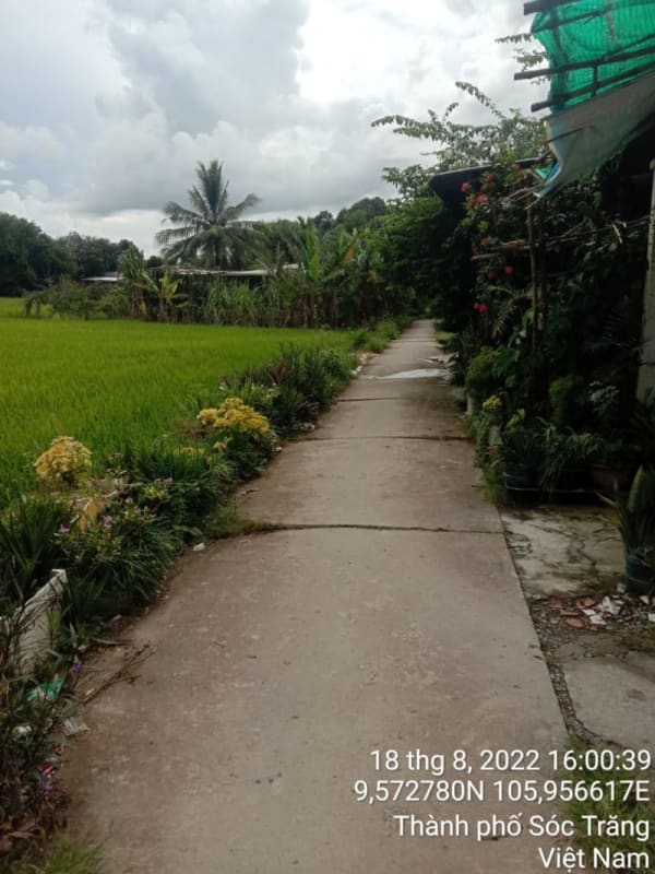 ST143	Hẻm 957 (P10) - Ảnh 5
