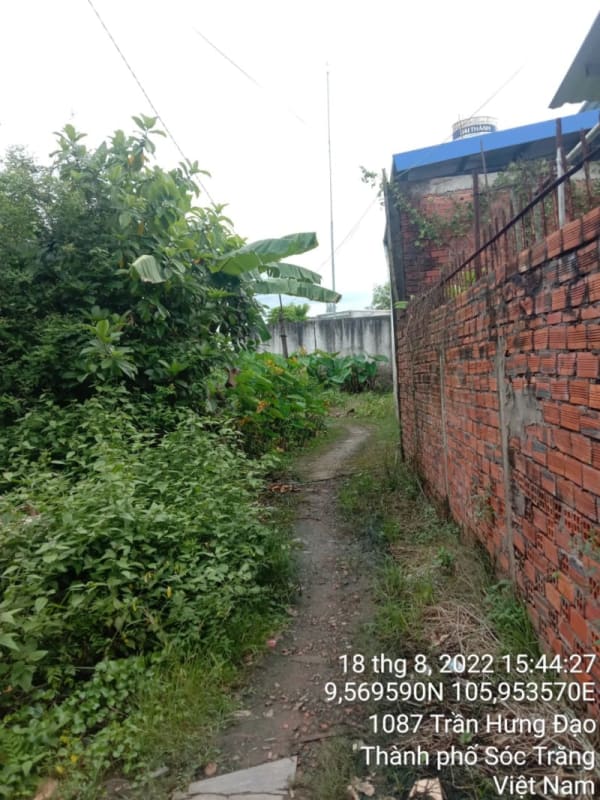 ST144	Hẻm 1005 (P10) - Ảnh 2