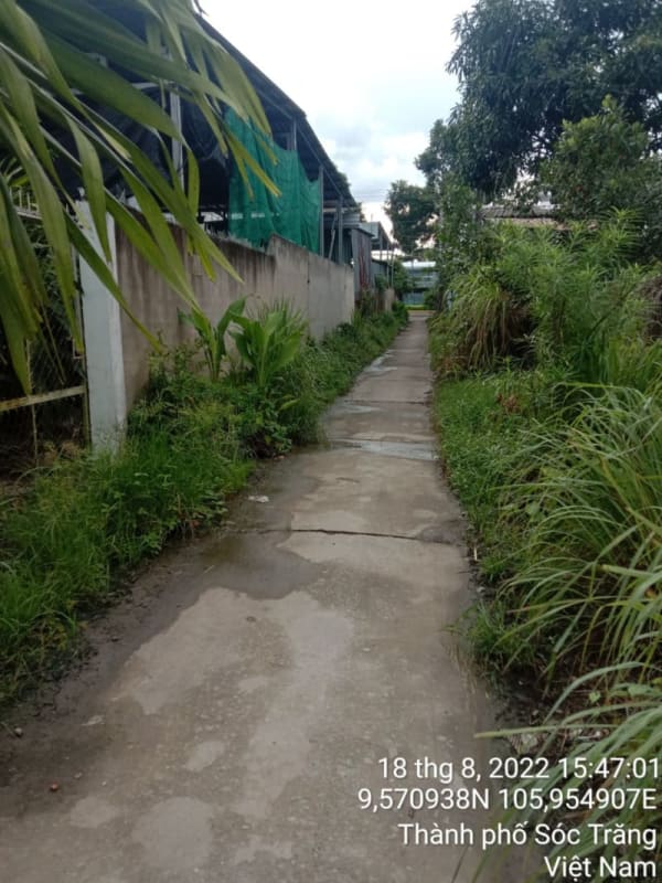 ST145	Hẻm 1017 (P10) - Ảnh 1