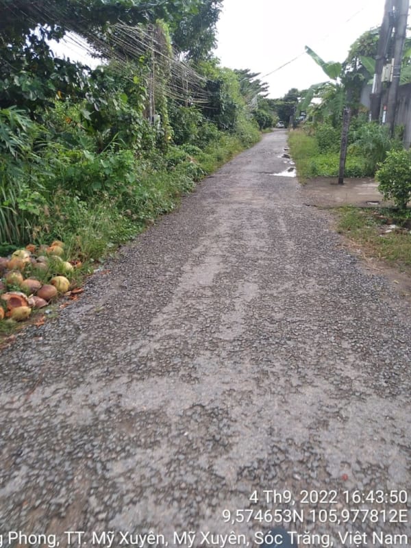 ST164	Hẻm 508, 604 (P3) - Ảnh 4