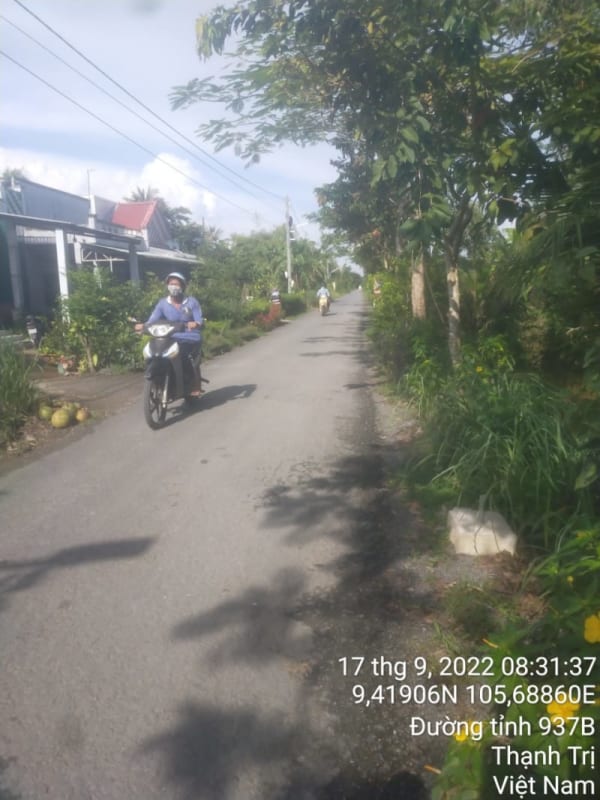 TT81-Huyện lộ 68 (lộ Kinh Ngay) - Ảnh 3
