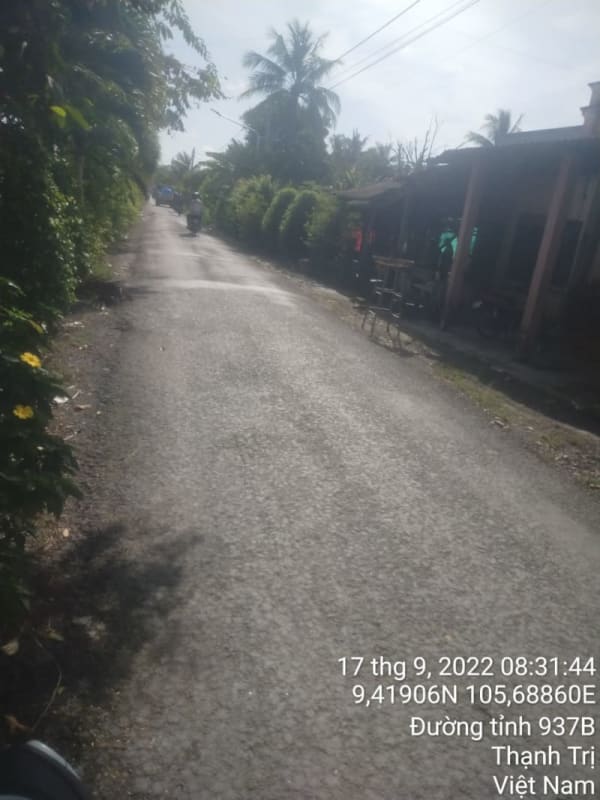 TT81-Huyện lộ 68 (lộ Kinh Ngay) - Ảnh 4