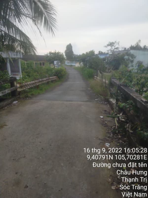TT115-Lộ Bào Cát - Quang Vinh - Ảnh 4