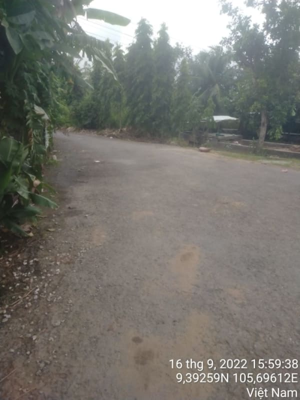 TT117-Lộ Bào Cát - Quang Vinh - Ảnh 1