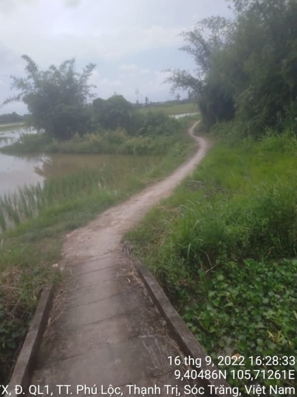 TT118-Lộ Bào Cát - Ảnh 3