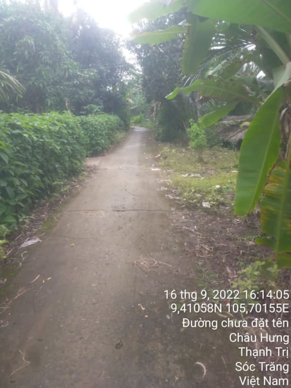 TT119-Lộ Bào Cát - Ảnh 1