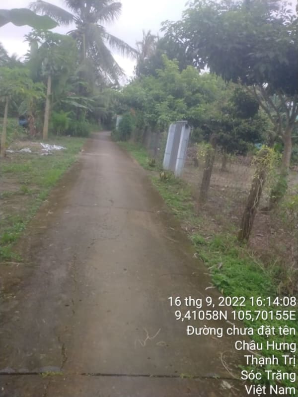 TT119-Lộ Bào Cát - Ảnh 2