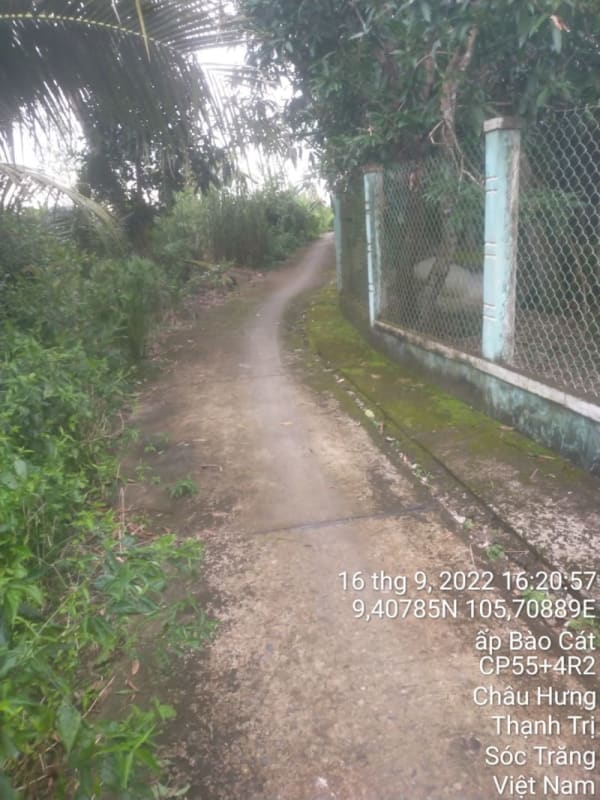 TT119-Lộ Bào Cát - Ảnh 4