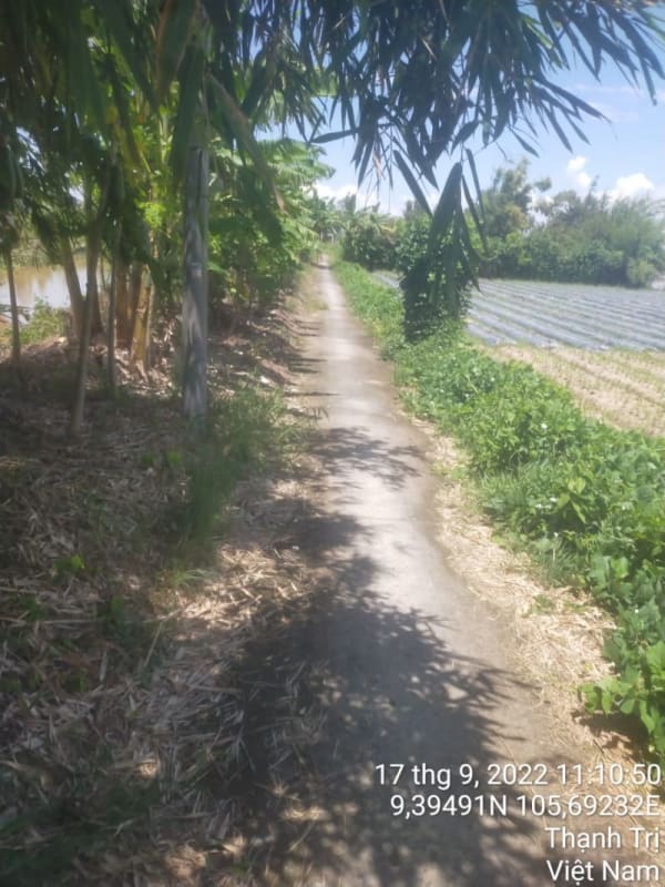 TT78-Lộ ấp Xóm Tro 1 - Ảnh 2