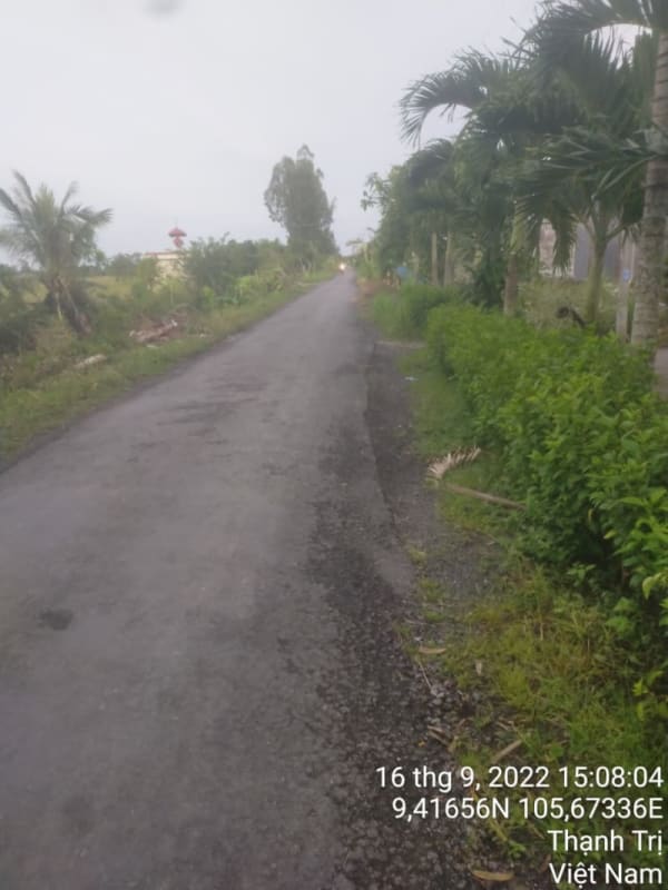 TT228-Huyện lộ 68 - Ảnh 2