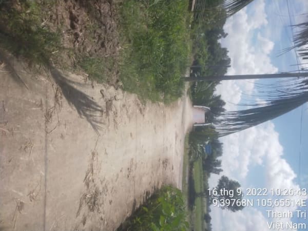 TT232-Lộ đal ấp Tàn Dù (2 Si) - Ảnh 1