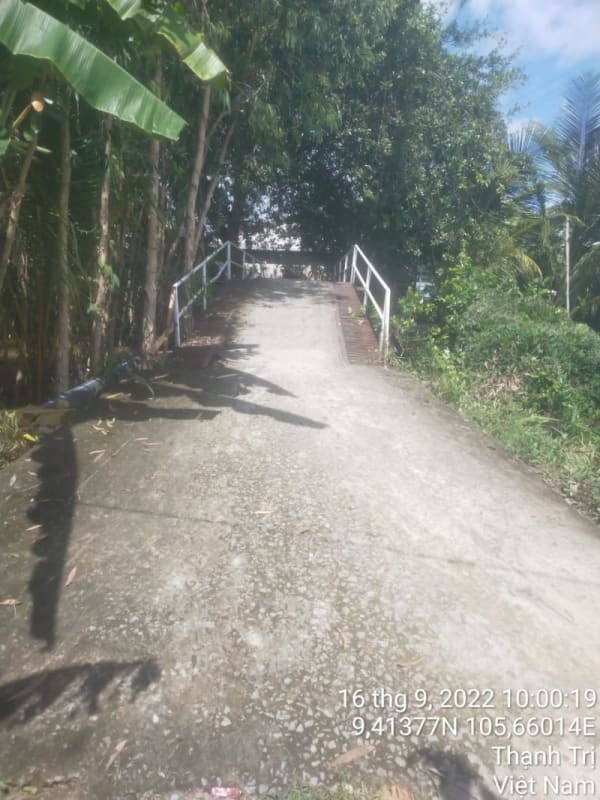 TT240-Lộ đal ấp Kinh Ngay 2 - Xóm Tro 2 - Ảnh 1