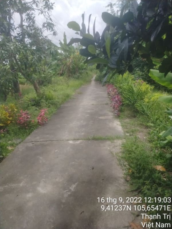 TT243-Lộ Kinh Ngay 2 - Tràm Kiến - Ảnh 2