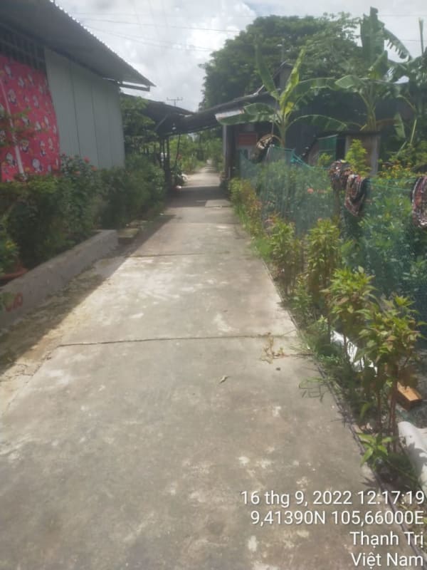 TT243-Lộ Kinh Ngay 2 - Tràm Kiến - Ảnh 3