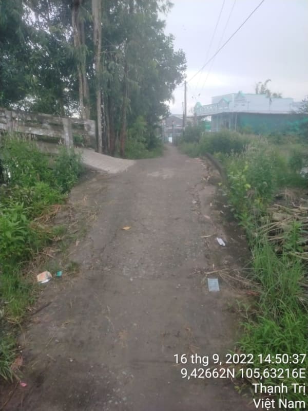 TT247-Lộ đal Ấp 13 - Ảnh 1