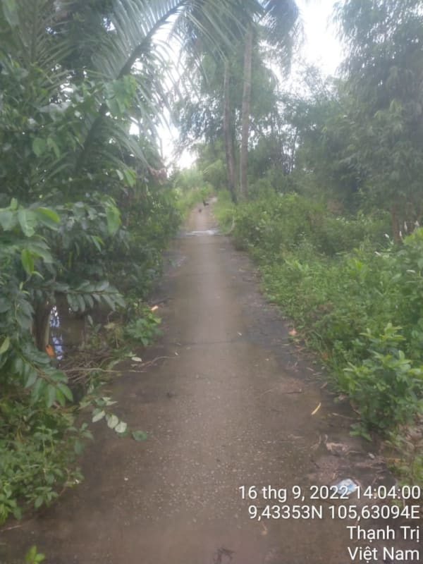 TT247-Lộ đal Ấp 13 - Ảnh 3