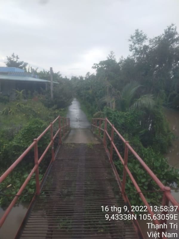 TT248-Lộ đal Ấp 13 - Ảnh 3
