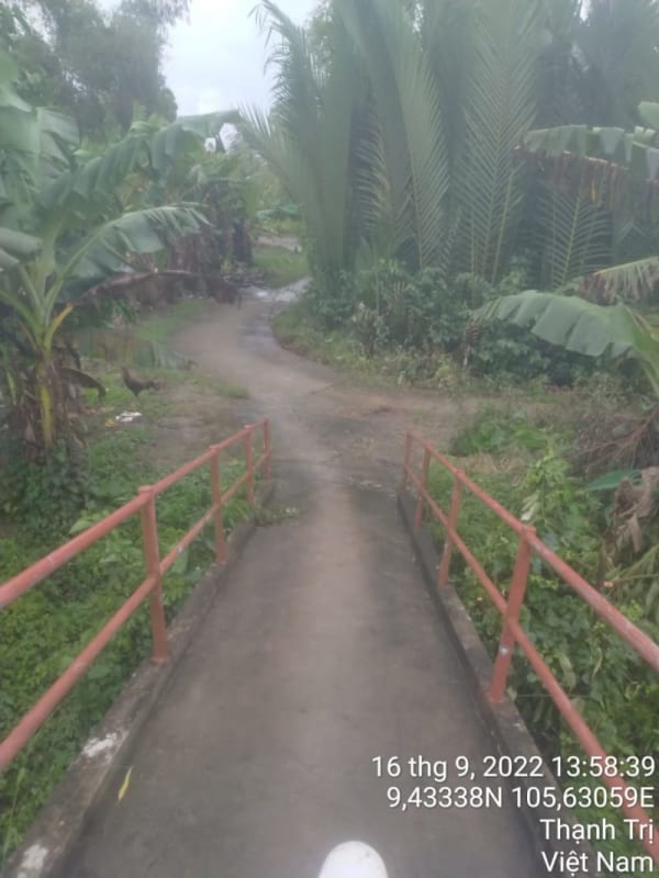 TT248-Lộ đal Ấp 13 - Ảnh 4