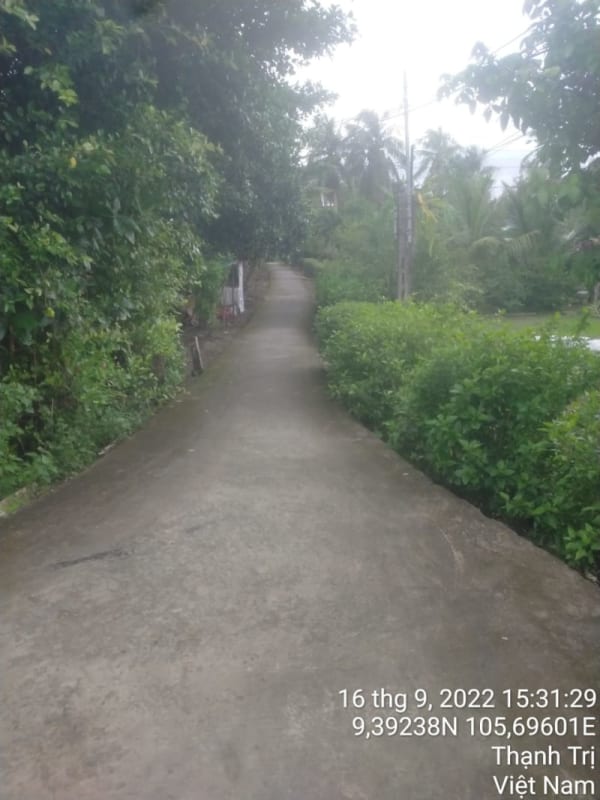 TT253-Kênh Bào Sen (Bờ Nam) - Ảnh 2