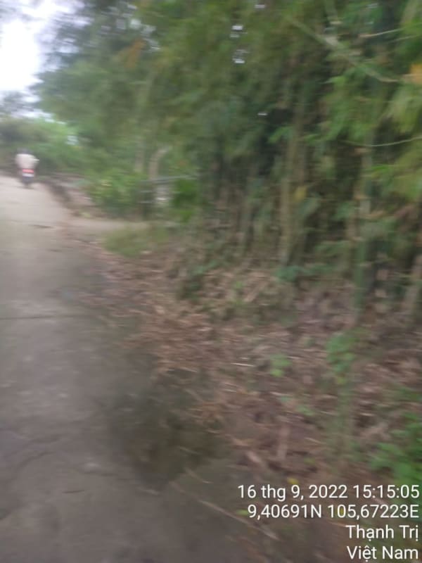 TT253-Kênh Bào Sen (Bờ Nam) - Ảnh 3