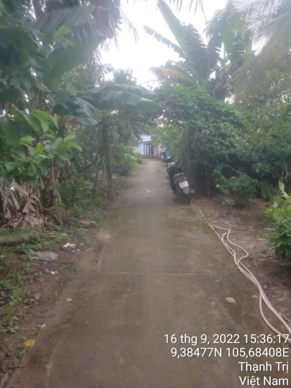 TT254-Lộ đal ấp Quang Vinh - Ảnh 1