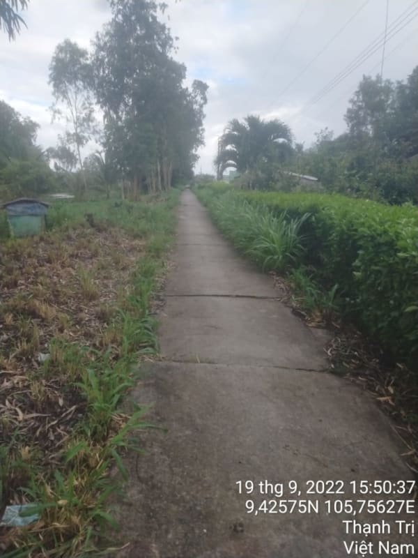 TT37-Lộ ấp Thạnh Điền - Ảnh 3