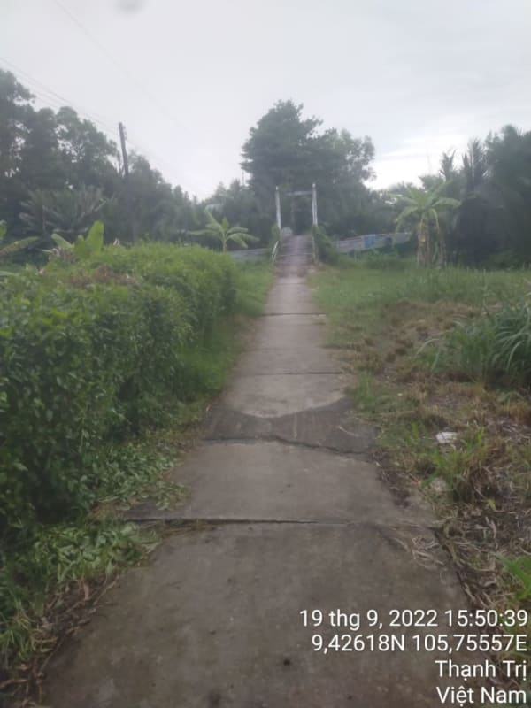 TT37-Lộ ấp Thạnh Điền - Ảnh 4