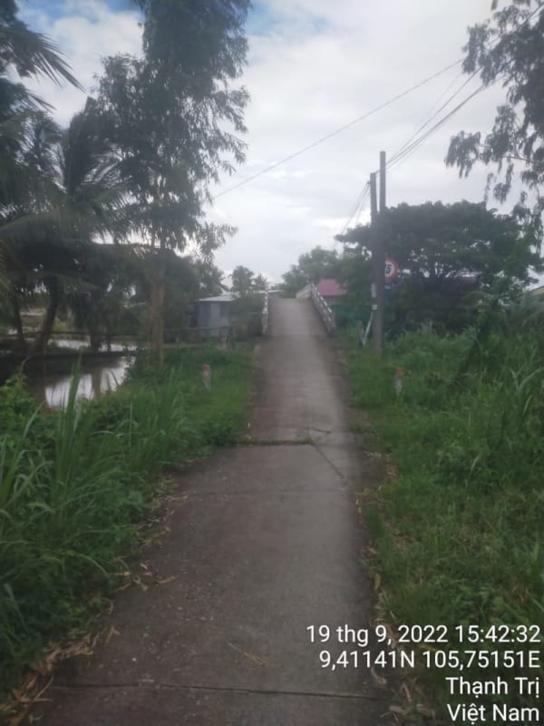 TT34-Lộ ấp Bào Lớn - Ảnh 1