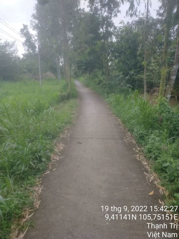 TT34-Lộ ấp Bào Lớn - Ảnh 2