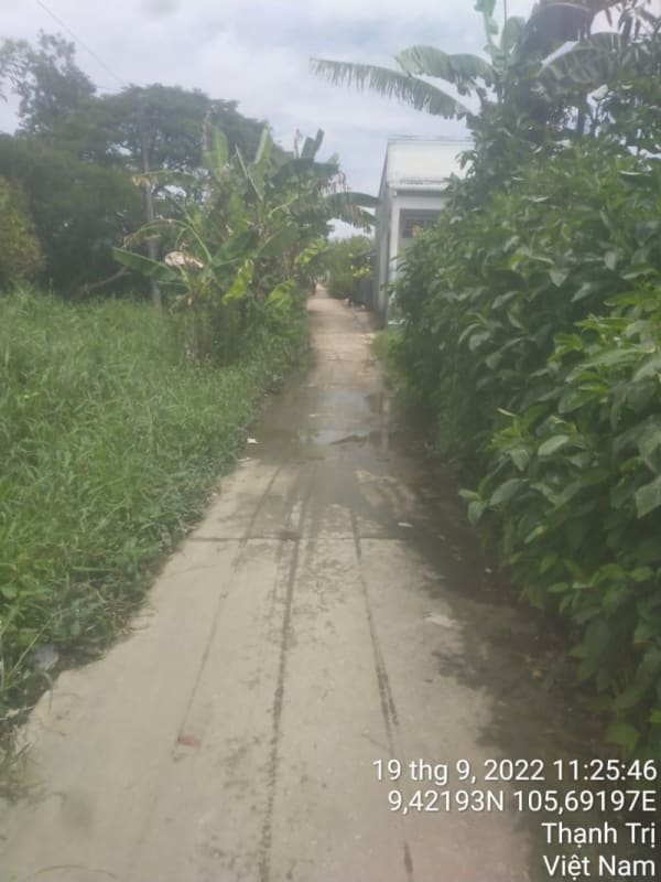 TT94-Lộ ấp số 8 - Ảnh 3
