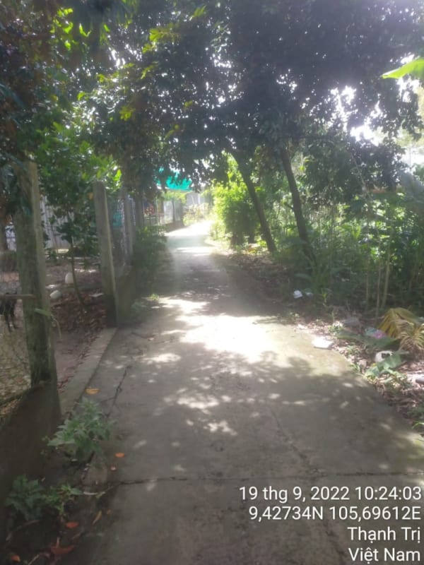 TT125-Lộ ấp số 9 - Ảnh 4