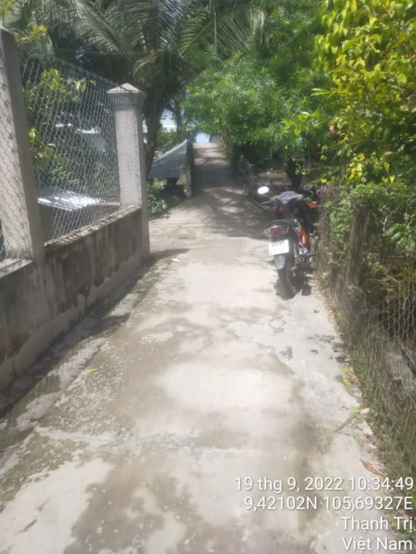 TT105-Lộ ấp số 9 - Ảnh 2
