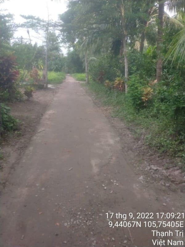 TT33-Lộ ấp Phú Tân - Ảnh 4