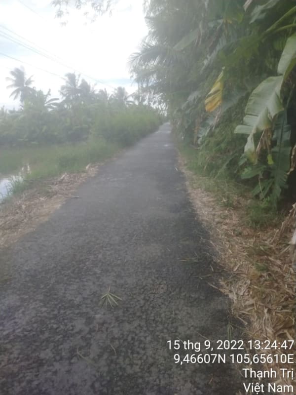TT181-Đường Huyện 61 (Huyện lộ 5 cũ ) - Ảnh 4