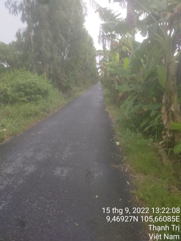 TT182-Đường Huyện 61 (Huyện lộ 5 cũ ) - Ảnh 4
