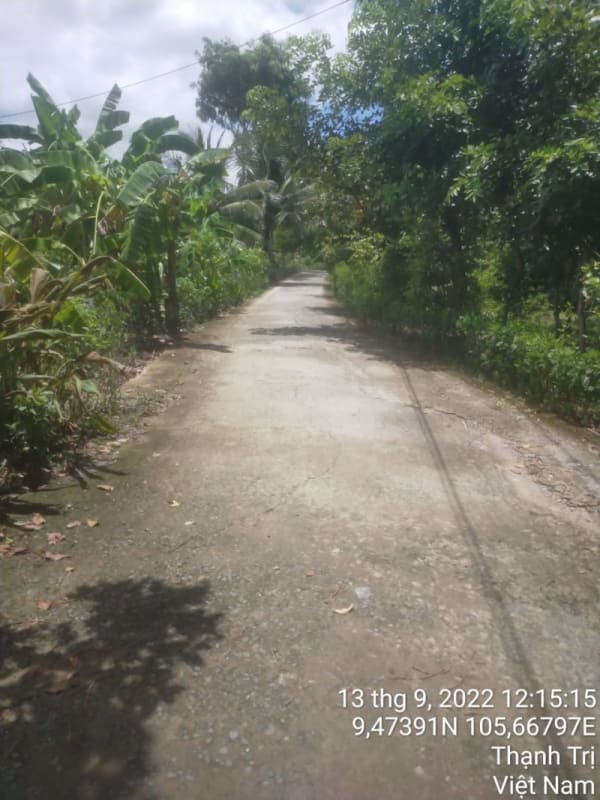 TT194-Lộ đal (xóm cá) - Ảnh 2