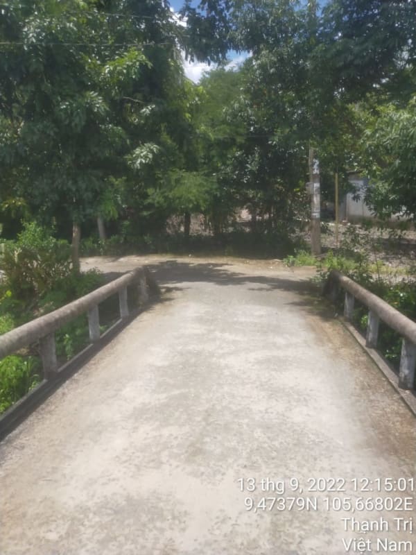 TT194-Lộ đal (xóm cá) - Ảnh 4