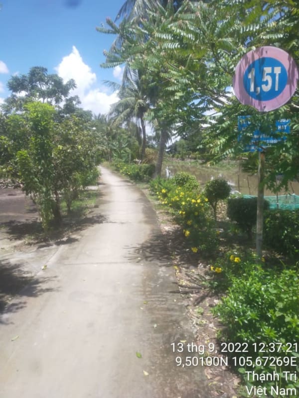 TT199-Lộ đal 5 Hạt - 26/3 - Ảnh 3
