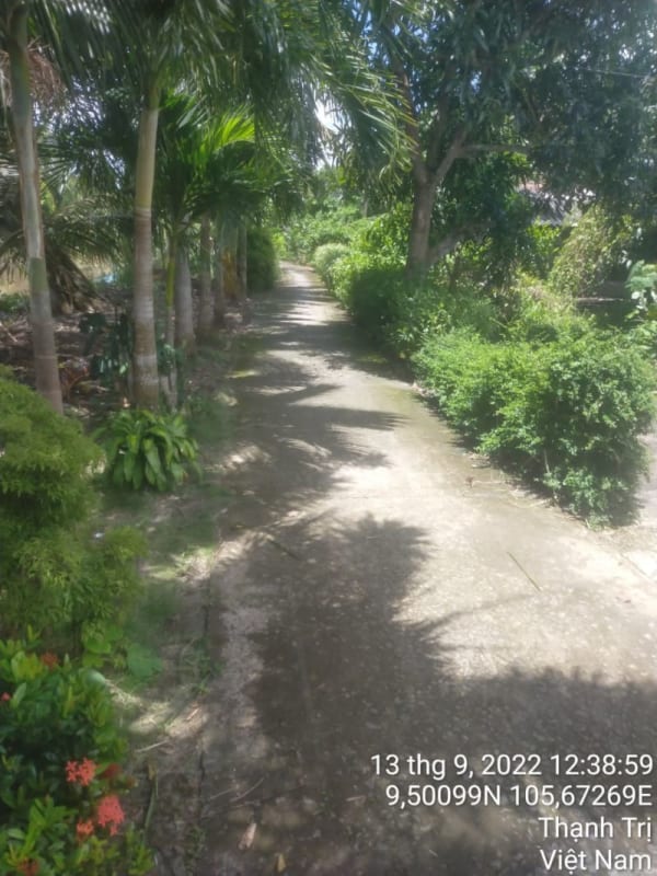 TT200-Lộ 9 Sạn - Ảnh 4