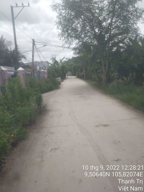 TT213-Lộ đal ấp Lợi - Ảnh 3
