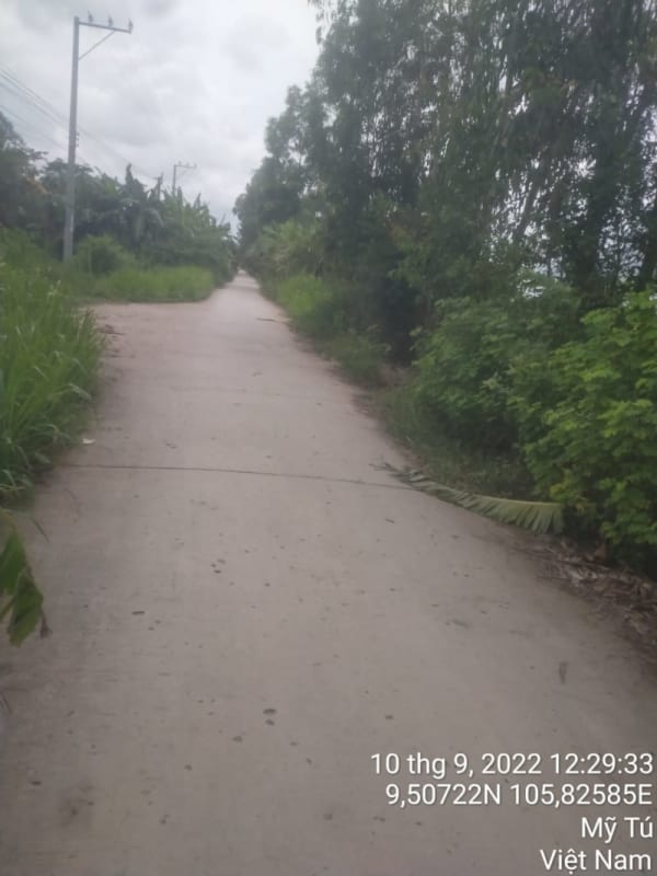 TT213-Lộ đal ấp Lợi - Ảnh 4