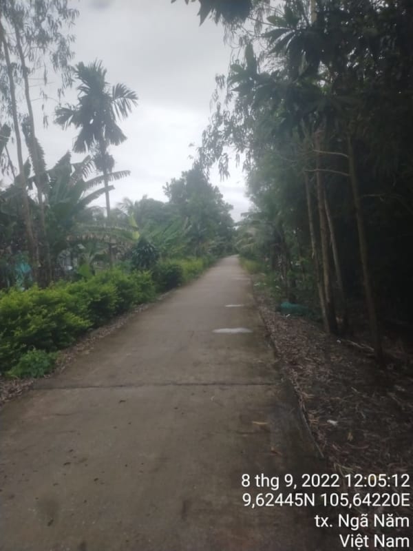 NN78-Quốc lộ 61B - Ảnh 3