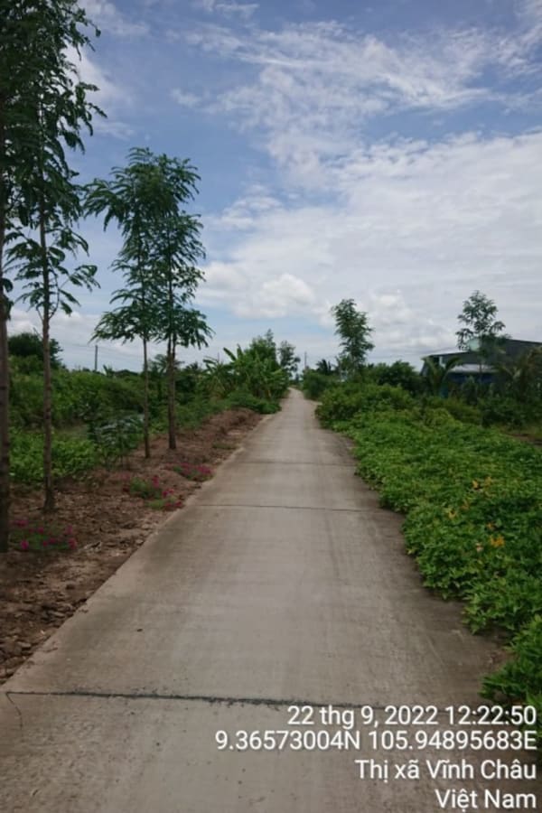 VC295	Đường cặp kênh Phạm Kiểu - Tân Hưng	từ 	Đầu ranh đất bà Kiếm đến 	Đường cặp kênh Phạm Kiểu - Ảnh 3