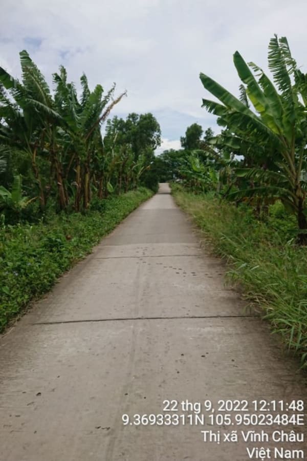 VC291	Đường Tân Lập - Tân Thành B	 từ 	Đường Tân Lập B	đến Giáp khóm Vinh Thành (Vĩnh Phước) - Ảnh 1