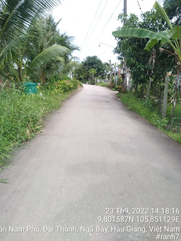 KS163-Đường Mang Cá - Đại Thành - Ảnh 3