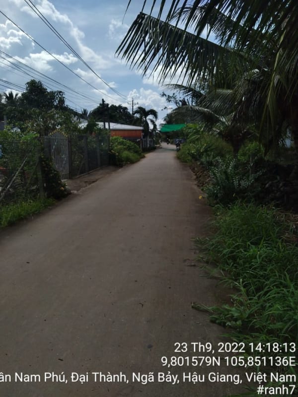 KS163-Đường Mang Cá - Đại Thành - Ảnh 4